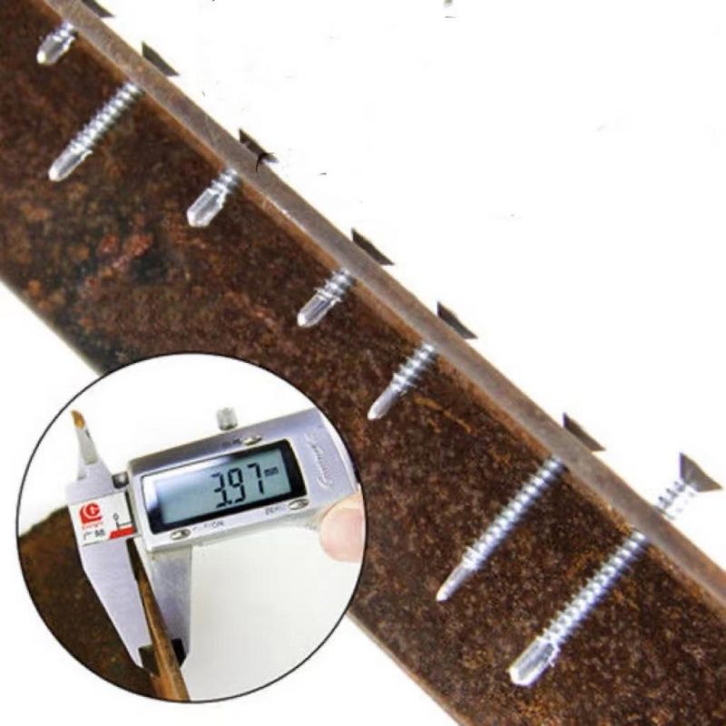 Hard Dovetail Screw /Self Tapping Screw/Drill Tapping Screw/Cross Head