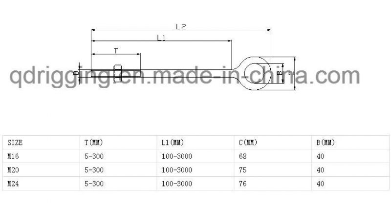 307s Stainless Steel 316 Long Shoulder Eye Bolt