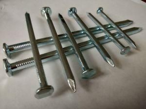 Nail, Boat Nail with Square Shank Electro Galvanized