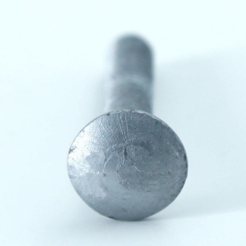 DIN603 Flat Head Metric HDG Hot Dipped Galvanized Carriage Bolt and Nut
