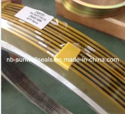 Ss304/PTFE Spiral Wound Gaskets, Size1/2&quot;~96&quot; (SUNWELL)