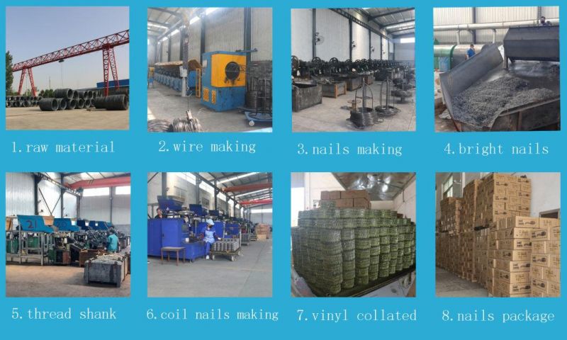 Blue Coated Wooden Pallet Coil Nails Screw Nails