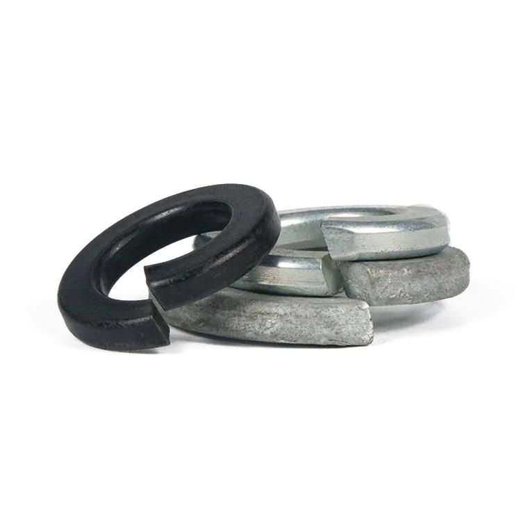 Hot Sale Bolt Nut and Washers High Quality Mild Steel China Low Price Carbon Steel Spring Washer