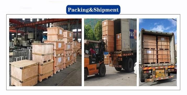 Stainless Steel Pipe Fittings Forging Steel Flange AISI 304