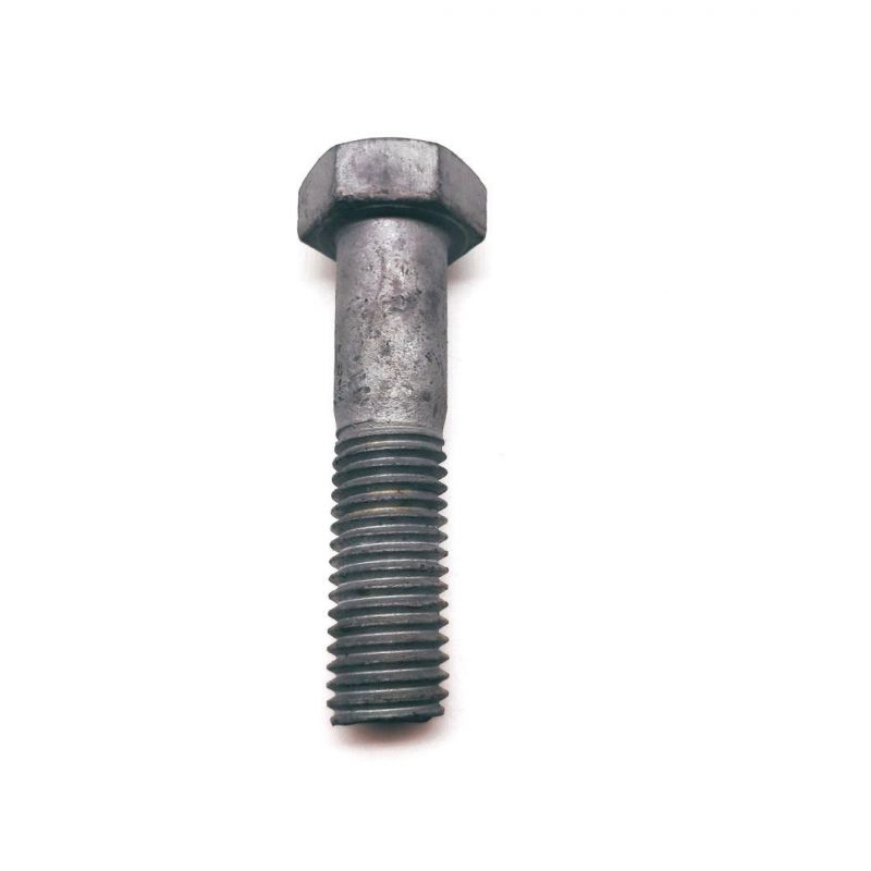 Stainless Steel M25X110 High Strength Hex Bolt with Nut
