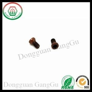 Flat Head Torx Screws