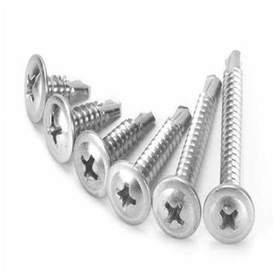 Large Flat Head Micro Mini Stainless Steel Satin Brushed Screw