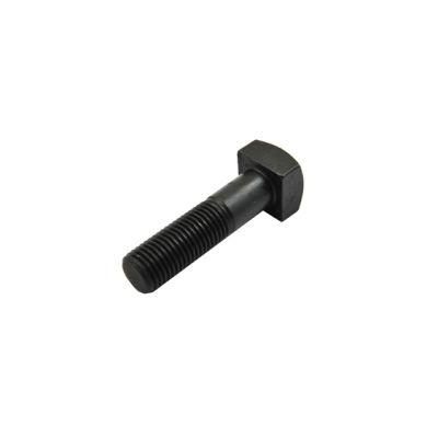 Screw Square Head Bolt Hot DIP Galvanized