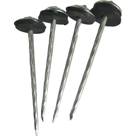 Hot Sale Galvanized Umbrella Roofing Nails Clavo with Rubber Washer in Peru From Tianjin Nail Manufacture