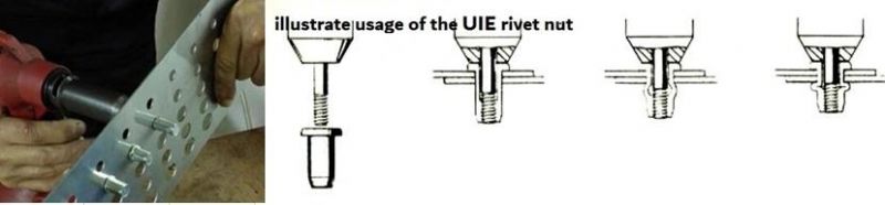 Stainless Steel/Carbon Steel Rivet Nut with Reduce/Thin/Small Csk Head Blind Rivet Nuts with Half Knurled Round /Hex Body