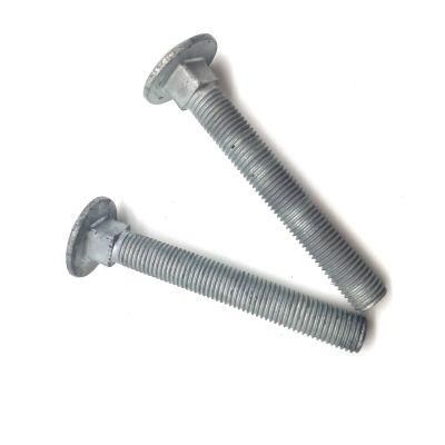 Grade 6.8 M14 M10 Hot DIP Galvanized Carriage Bolt with Fine Pitch Thread for Electric Equipment