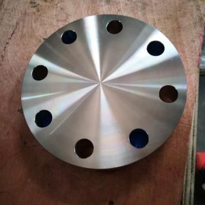 AISI304 Stainless Steel Sanitary Forged Plate Blind Flange
