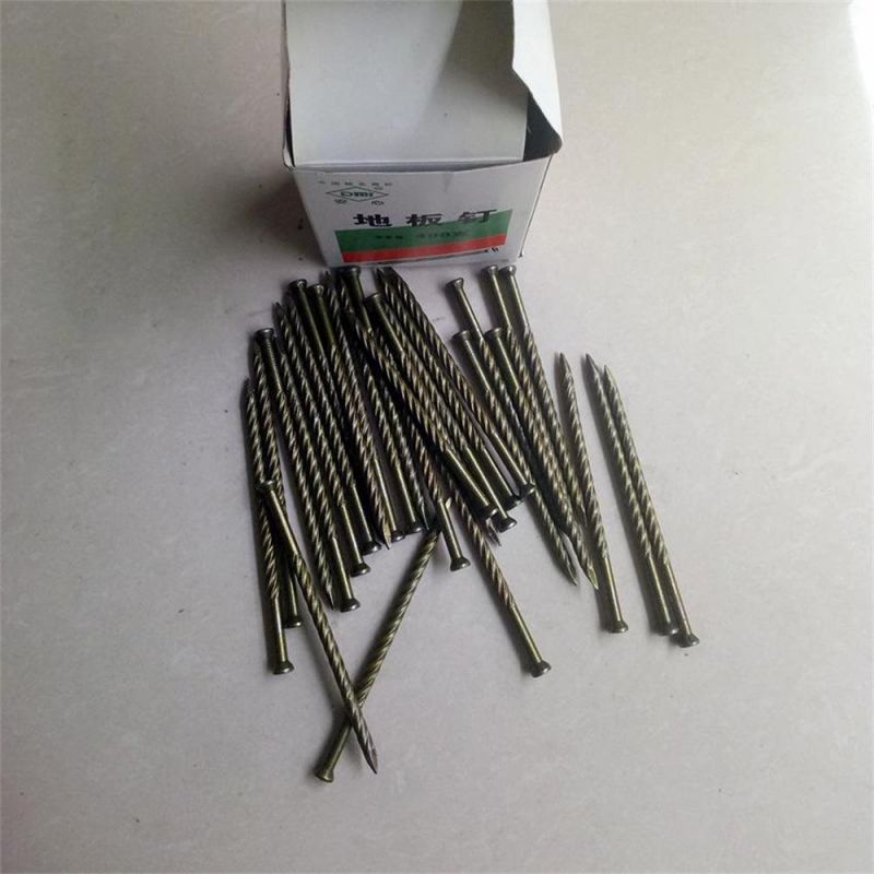 Galvanized Thread Nail Twist Nail/Anti-Theft Mesh Ribbed Nail