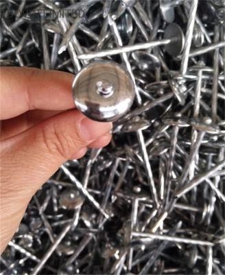 Dovin High Qunantity High Quality Different Size Nail Washer