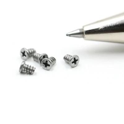 Customized Stainless Steel SUS304 Small Micro PT Screw