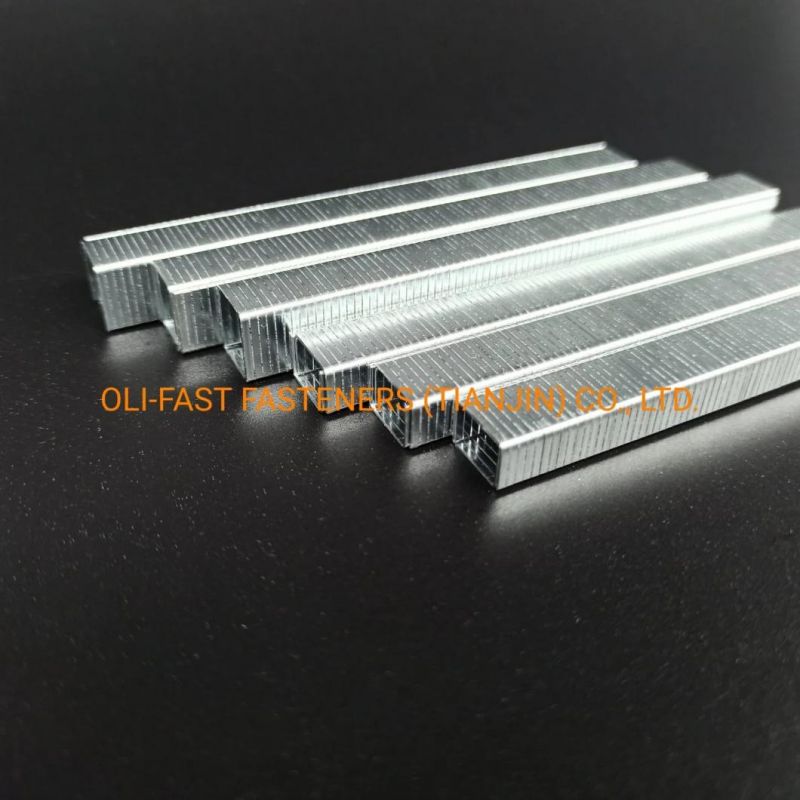 20ga A11/10 Staples for Upholstery with High Quality Factory Supply