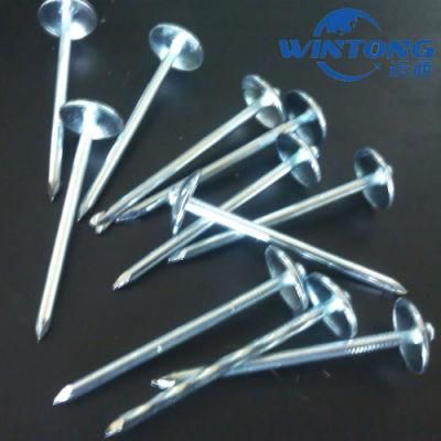 Q235 Roofing Nail, 9 Bwg Roofing Nail, Straight Pole Roofing Nail
