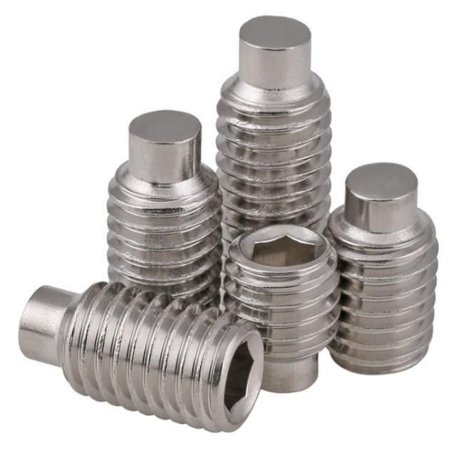 Stainless Steel Hexagon Socket Set Screw with Convex End DIN915 Cylindrical End Headless GB79 M8m10