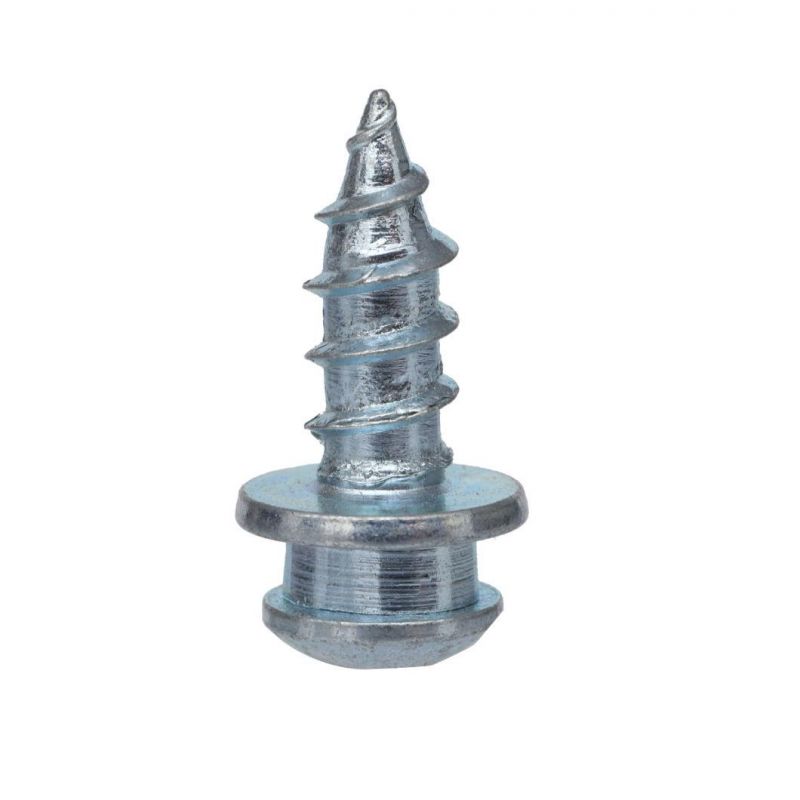 Step Screw Big Head Screw/Step Bolts/Special Bolts