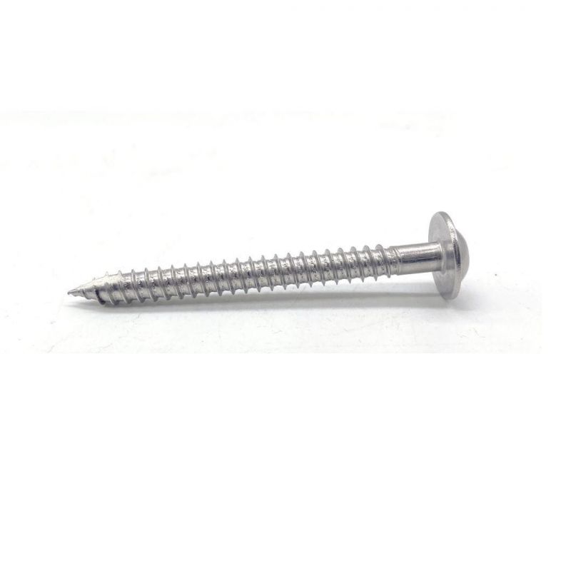 A4 A2 Stainless Steel 304 316 Pan Head Cutting Tail Self Tapping Screw