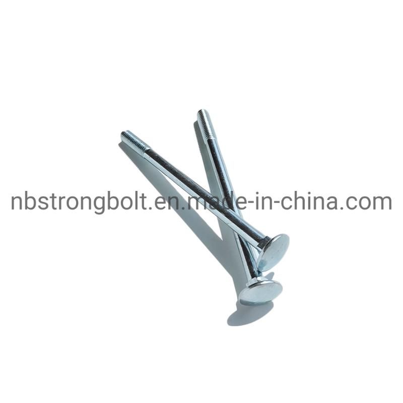 Carriage Bolt with Zinc