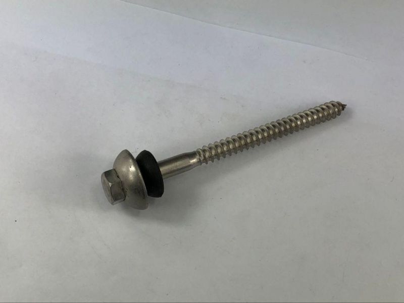 Stainless Steel Hex Lag Screw