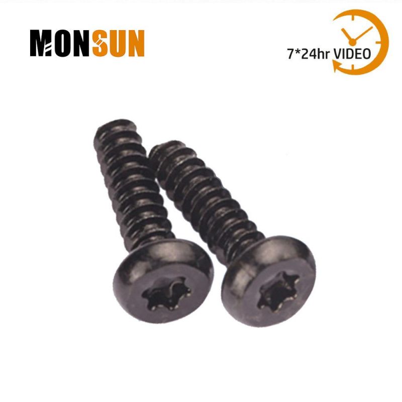 Harden Steel Black Star Drive Self Tapping Screws/Tornillos for Plastic