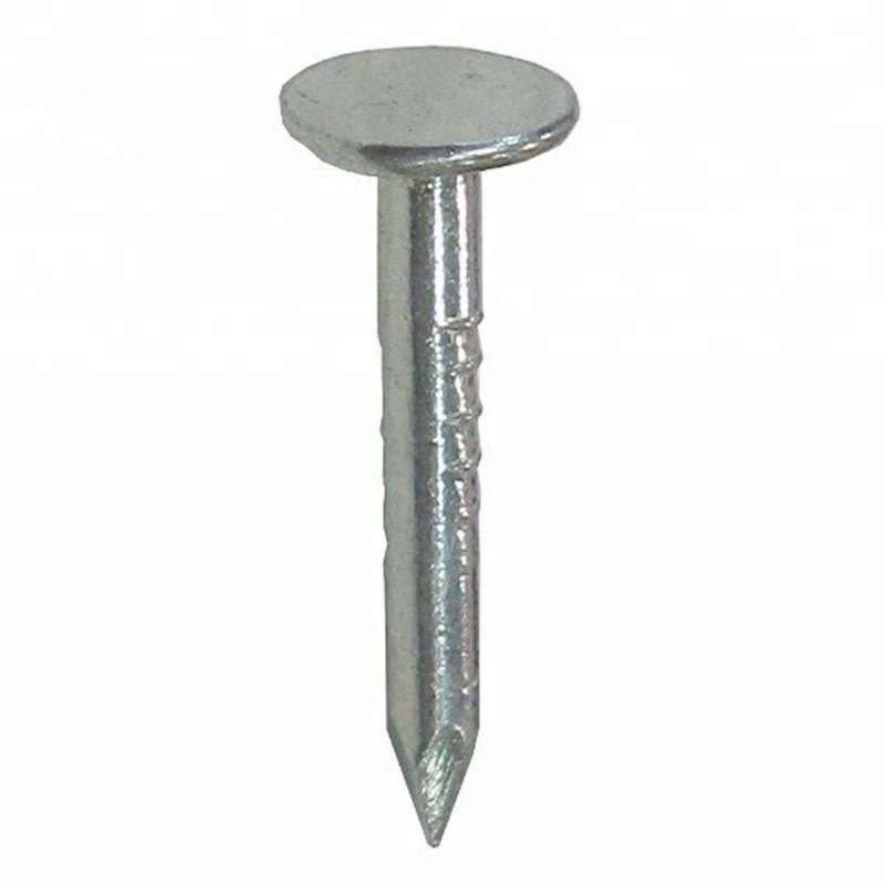 Consructive Level Harden Electric Galvanized Clout Nail