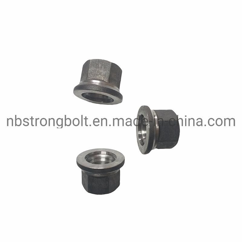Accept OEM Nonstandard Size Standard Fastener Wheel Nut DIN6331