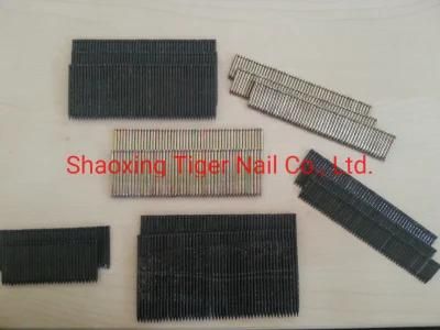 China Products/Suppliers. High Quality Polished Common Wire Fst Nail