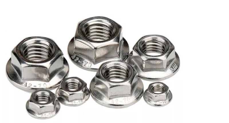 China Manufacturing Wholesale Price High Quality Stainless Steel 304 316 DIN6923 Hex Serrated Flange Nut M5-M20