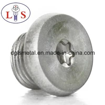 Ss 304 Torx Recess Bolt with Washers