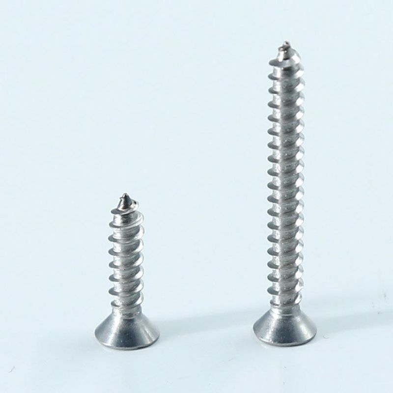 SS304/SS316 Torx Drive Flat Head Self Tapping Screw