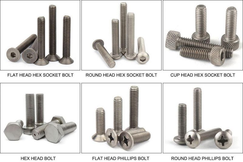 Ti Gr2 Gr5 Screw Titanium Fasteners Pan Head Socket Bolt with Nut