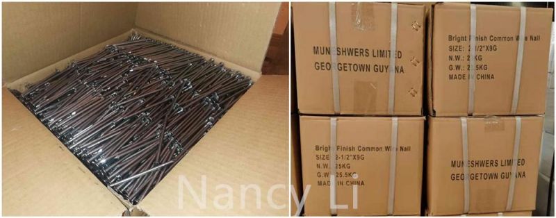 Good Quality 5"X 6g Polished Common Wire Nail Building Nail