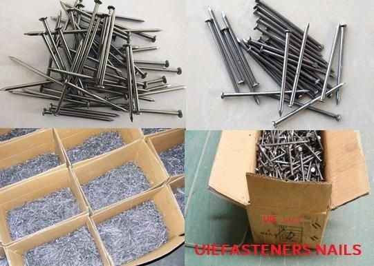 Best Price Common Nails /Iron Nail/Polished Wire Nail/Common Round Nails/Metal Nails/Wood Nail