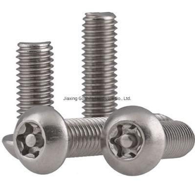 Stainless Steel Torx Anti-Theft Machine Screws
