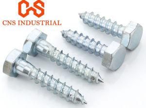 Stainless Steel 304 316 Lag Wood Screws/Lag Bolt/Coach Screw DIN571