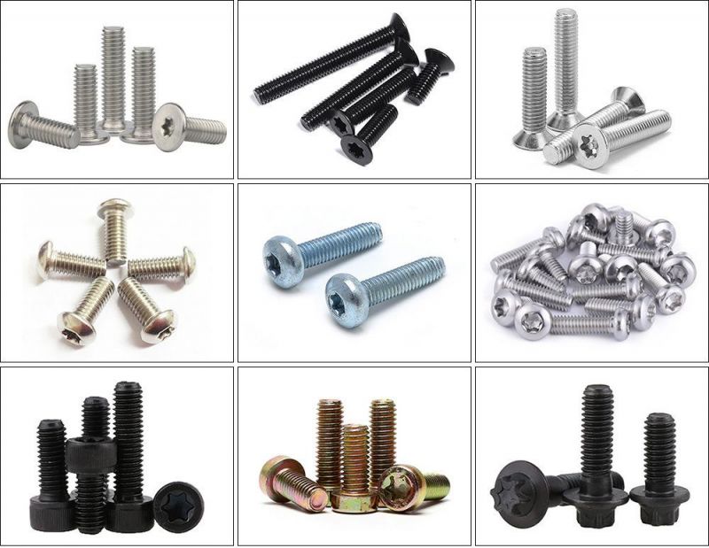 Grade 12.9 Alloy Steel Hexalobular 12 Torx Point Flange Head Bolt Made in China Hardware Torx Head Customized Bolt