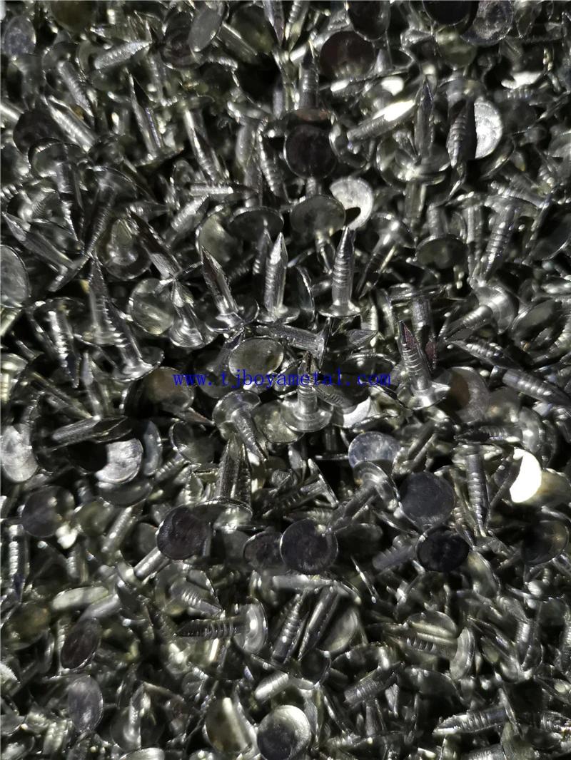 Clout Nails Clout Nails 20 X 2.8mm Galvanised Clout Nails