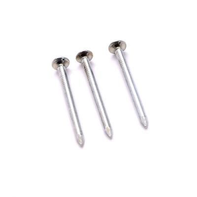 Common Nail Building Nail Wire Nail Construction Nail Iron Nail