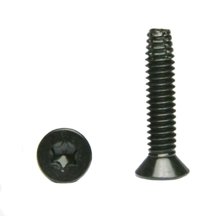 Torx Drive Flat Head Type F Thread Floorboard Cutting Screw C1022 Black