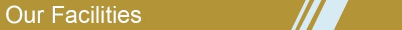 Mf Equal Nickel Plate 3-Way Brass Thread Fitting Tee
