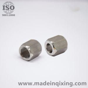 Stainless Steel &Zinc Plated Hex Nut &amp; Round Nut &amp; Cage Cap Nut &amp; Weld Nut&amp; Flange Nut