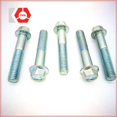 Flange Hex Head Bolt with Nuts