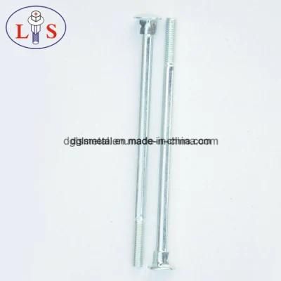 Stainless Steel Carriage Bolt and Square Neck Bolt