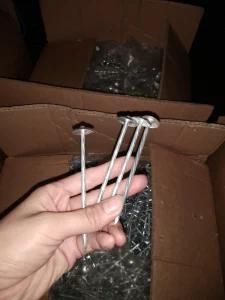 Galvanized Umbrella Head Roofing Nail for Sale
