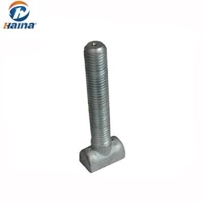 Stainless Steel/Carbon Steel T Type Head Bolts
