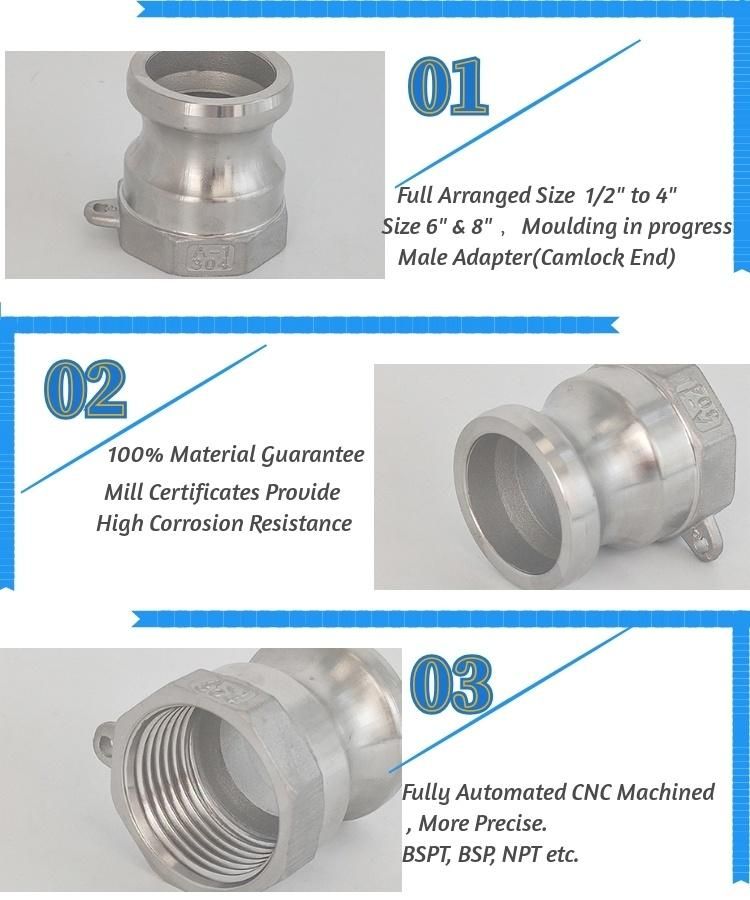Stainless Steel Type a Camlock Coupling with Male Adapter