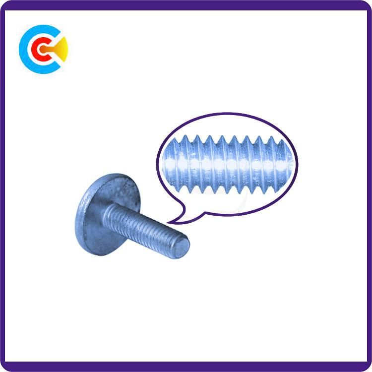 DIN/ANSI/BS/JIS Carbon-Steel/Stainless-Steel Non-Standard Round Head Screws Flat Plastic Fastening Screws